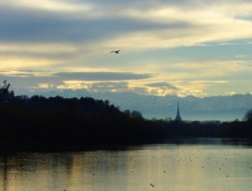 Esperienze da regalare Piemonte 