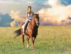 Esperienze A Cavallo In Puglia