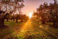 Entusiasmante outdoor di Primavera